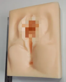 Гинекологическая хирургия с боковым разрезом манжеты общая урология лапароскопический шов силиконовая 3D модель модель шва для разрыва гениталий