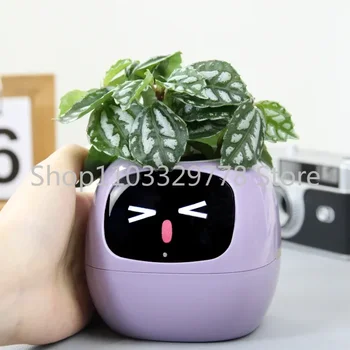 Maceta pequeña inteligente para mascotas, planta verde escritorio hiedra, permite que tus plantas expresen emociones, novedad